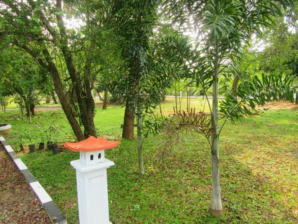 Hotel Tree Garden Wilpaththu Nochchiyagma Anuradhapura Nochchiyagama Экстерьер фото