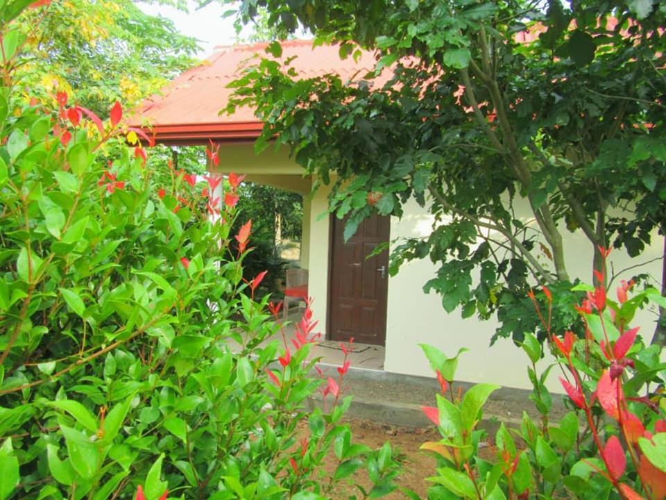 Hotel Tree Garden Wilpaththu Nochchiyagma Anuradhapura Nochchiyagama Экстерьер фото