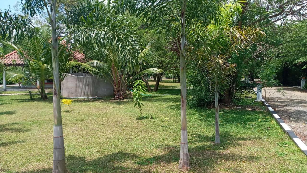 Hotel Tree Garden Wilpaththu Nochchiyagma Anuradhapura Nochchiyagama Экстерьер фото