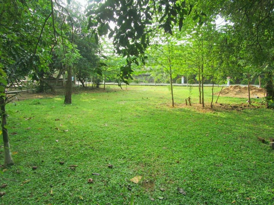 Hotel Tree Garden Wilpaththu Nochchiyagma Anuradhapura Nochchiyagama Экстерьер фото