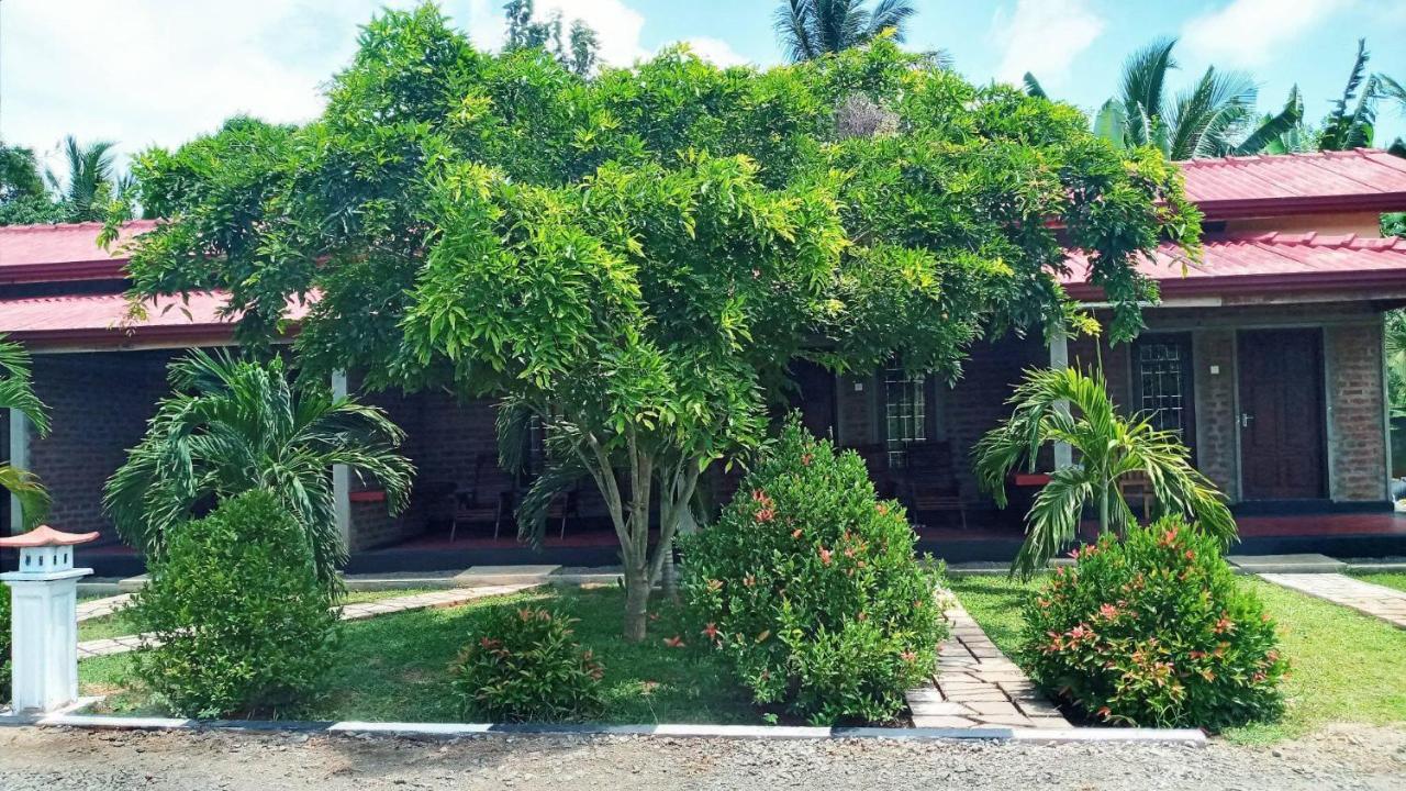 Hotel Tree Garden Wilpaththu Nochchiyagma Anuradhapura Nochchiyagama Экстерьер фото