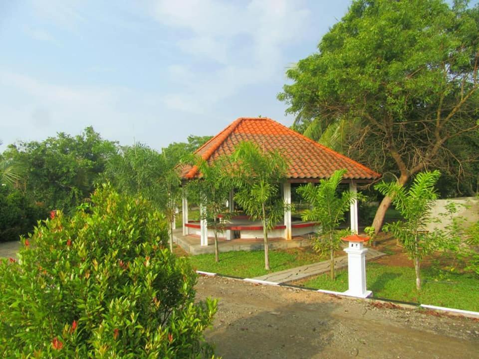 Hotel Tree Garden Wilpaththu Nochchiyagma Anuradhapura Nochchiyagama Экстерьер фото