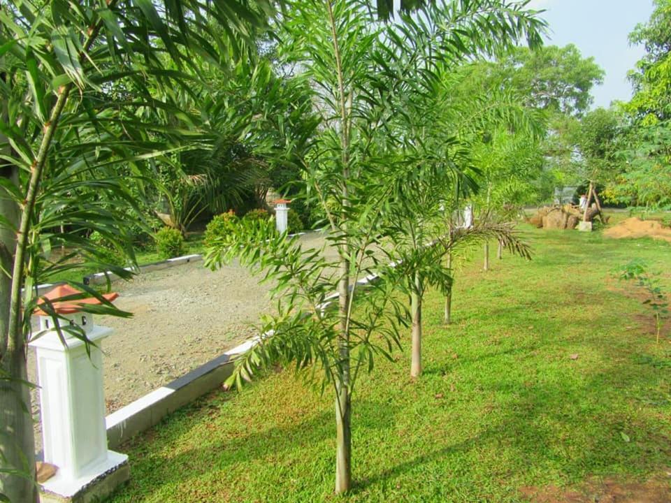 Hotel Tree Garden Wilpaththu Nochchiyagma Anuradhapura Nochchiyagama Экстерьер фото