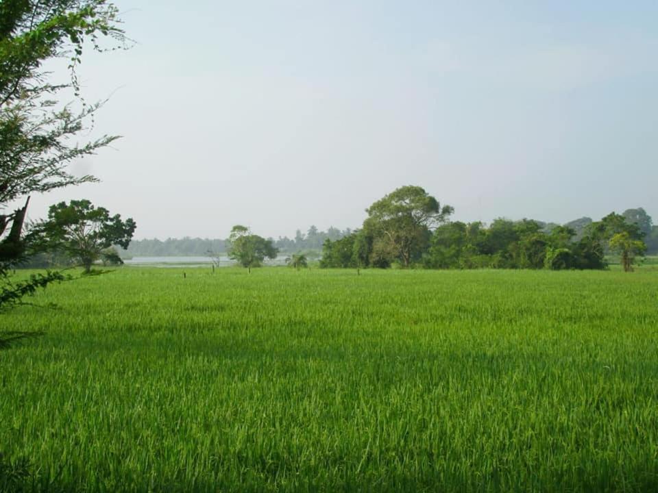 Hotel Tree Garden Wilpaththu Nochchiyagma Anuradhapura Nochchiyagama Экстерьер фото
