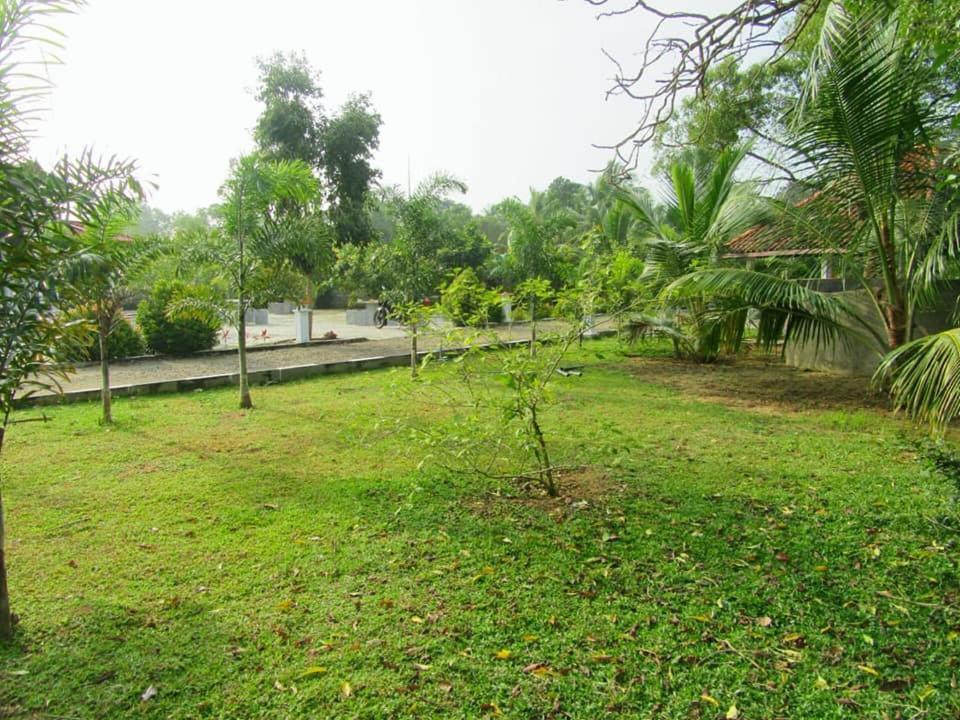 Hotel Tree Garden Wilpaththu Nochchiyagma Anuradhapura Nochchiyagama Экстерьер фото