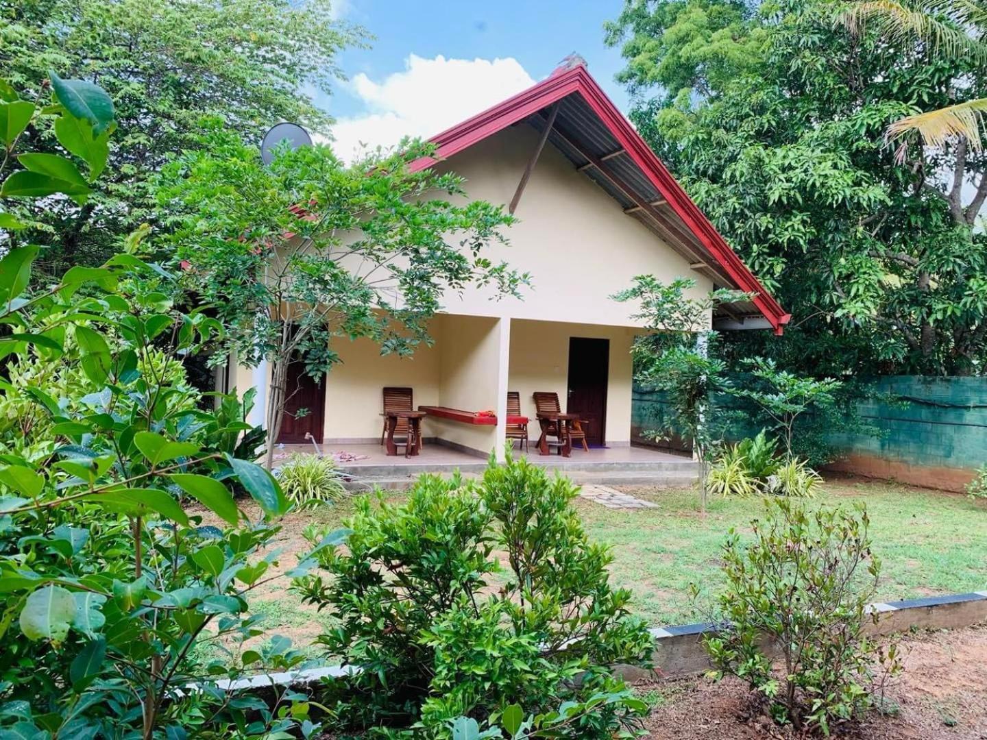 Hotel Tree Garden Wilpaththu Nochchiyagma Anuradhapura Nochchiyagama Экстерьер фото