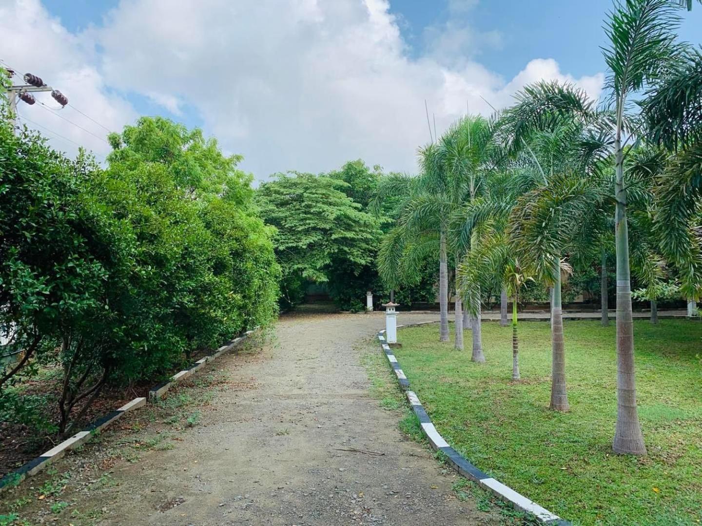 Hotel Tree Garden Wilpaththu Nochchiyagma Anuradhapura Nochchiyagama Экстерьер фото