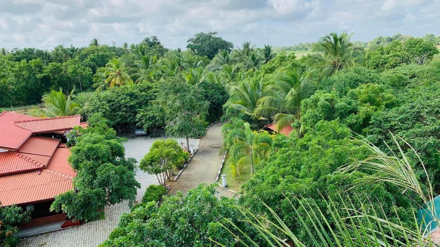 Hotel Tree Garden Wilpaththu Nochchiyagma Anuradhapura Nochchiyagama Экстерьер фото