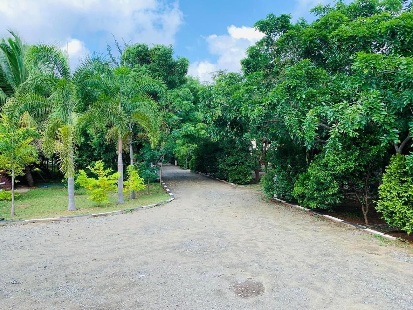 Hotel Tree Garden Wilpaththu Nochchiyagma Anuradhapura Nochchiyagama Экстерьер фото