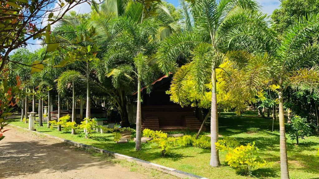Hotel Tree Garden Wilpaththu Nochchiyagma Anuradhapura Nochchiyagama Экстерьер фото