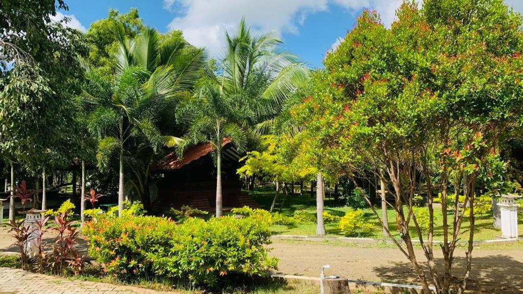 Hotel Tree Garden Wilpaththu Nochchiyagma Anuradhapura Nochchiyagama Экстерьер фото